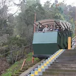 Marin 145